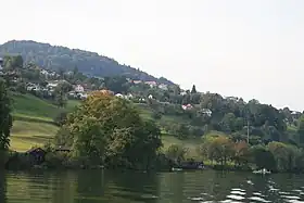 Blick von Hallwilersee auf Birrwil