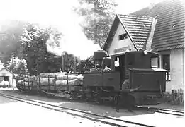 Ein Waldbahnzug be­ste­hend aus 12 Wagen und der Lok Nr. 7 vor dem Bahnhofsgebäude von Blatnica, 1967