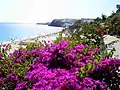 Blick auf den Strand von Morro Jable