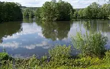 Altarm der Blies bei Bliesbruck (Frankreich)