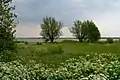 Typische Landschaft am Bodden