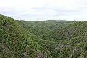 Blick von der Roßtrappe über das Bodetal