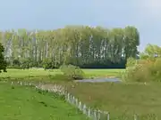 Allerschleife Bosse, zuführender Bogen, Sicht von der Landenge in Richtung Kopf