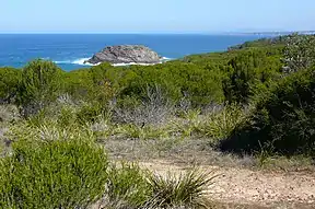 Bournda Island