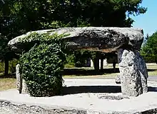 Dolmen von Peyrelevade