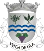 Wappen von Veiga de Lila