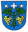 Wappen von Brigerbad