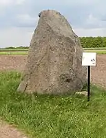 Findling aus Granit, Naturdenkmal, 10 Tonnen, 1986 gefunden