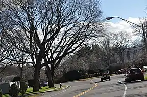 Der West Roxbury Parkway in Brookline