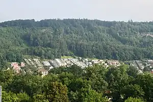 Terrassensiedlung in Lauffohr