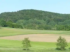 Buchenberg bei Entenberg.