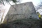 Die Burgruine