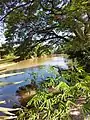 Abfluss des Bueng Lahan in den Chi-Fluss.