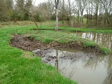 Flussschwinde des Bandiats bei Bunzac im Winter