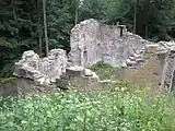 Die Burgkapelle nach der Sicherung der Mauerkronen (August 2007)