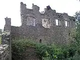 Der notgesicherte Palas von Osten. Links neben der Brücke ein Rest der Zwingermauer. Das rechte Fenster des Obergeschosses wurde durch einen Stahlrahmen gesichert