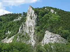 Der Stiegelesfels