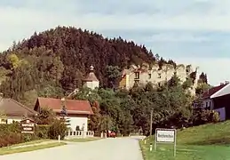 Reichenstein von Westen 1992