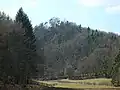 Ansicht der Burgruine Hollenberg aus östlicher Richtung