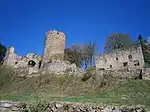 Burgruine Prandegg im Frühling