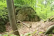 Bild 4: Der zweite Graben und die Felsrippe, die vermutlich als Brückenpfeiler diente