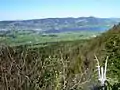 Burgruine Wartenfels: Aussicht auf den Mondsee, im Hintergrund die Kulmspitze (1095 m)