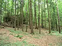 Hagfelsen bei Burkartshof