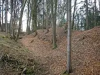 Der Ostwall der nördlichen Vorburg. Blick nach Süden zum Turmhügel (September 2006)