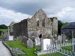 Ruine des Franziskanerklosters Buttevant