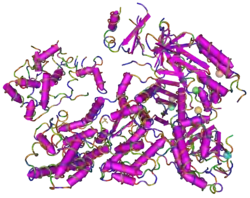 Cas9