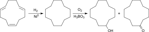 CDT zu CDOL-CDON via Bashkirov-Oxidation