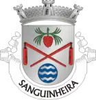 Wappen von Sanguinheira