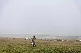 Schäfer auf dem Campo Imperatore