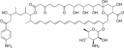 Strukturformel von Candicidin