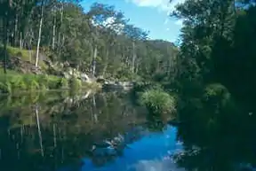 Carnarvon Gorge