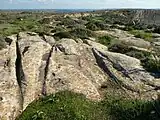 Schleifspuren auf dem Ta' Ċenċ Plateau (Gozo): Eine Gabelung