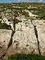 Schleifspuren auf dem Ta' Ċenċ Plateau (Gozo)