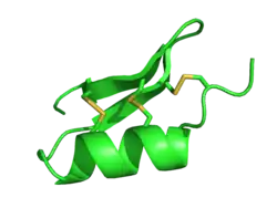 Scyllatoxin