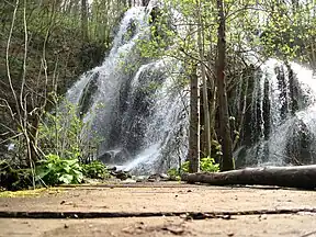 Beușnița-Wasserfälle