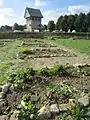 Beete auf der Garteninsel; im Hintergrund der Burgturm