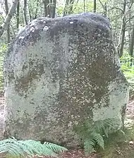 Menhir Champcueil Menhir des Buttes noires