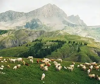 Col des Champs