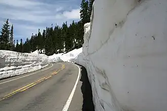 Der Chinook Pass im Juni