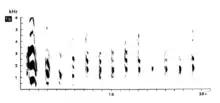 Spektrogramm eines Vogelrufs