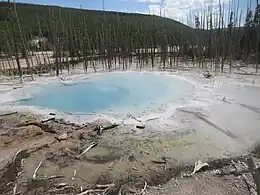 Cistern Spring im Back Basin