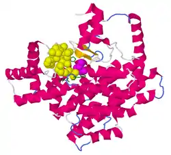 Citrat-Synthase