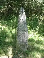 Menhir du Mont Ganelon