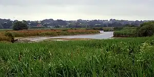 Dedham Vale bei Manningtree