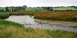 River Stour bei Manningtree