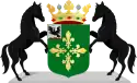 Wappen der Gemeinde Midden-Drenthe